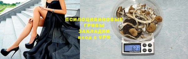 гашик Лабытнанги