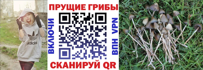 Псилоцибиновые грибы мухоморы  Купить закладки  Алушта 